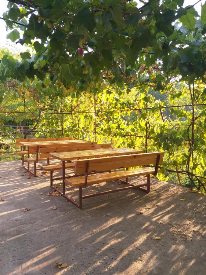 Zalan Vendeghaz Hotel Csaszartoltes Luaran gambar